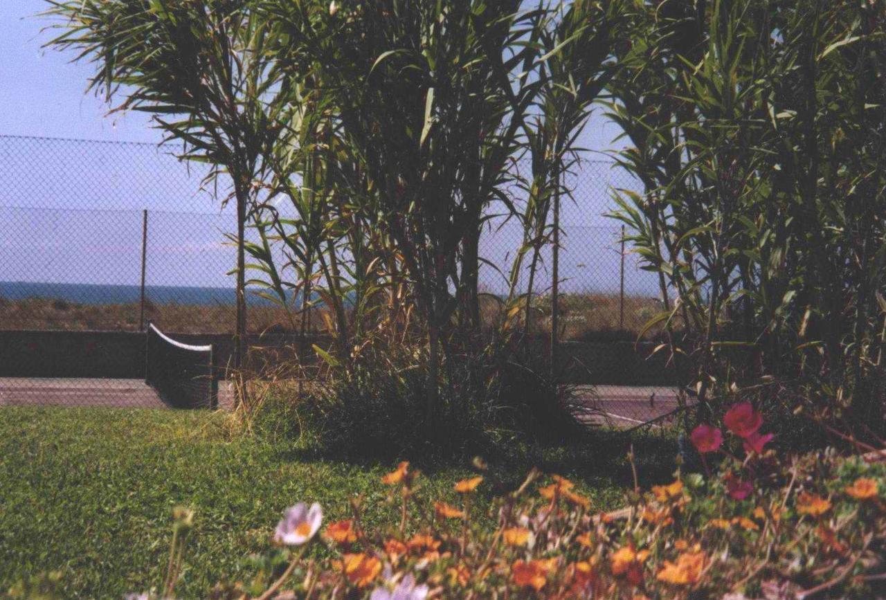 Hotel Della Baia バイア・ドミツィア エクステリア 写真